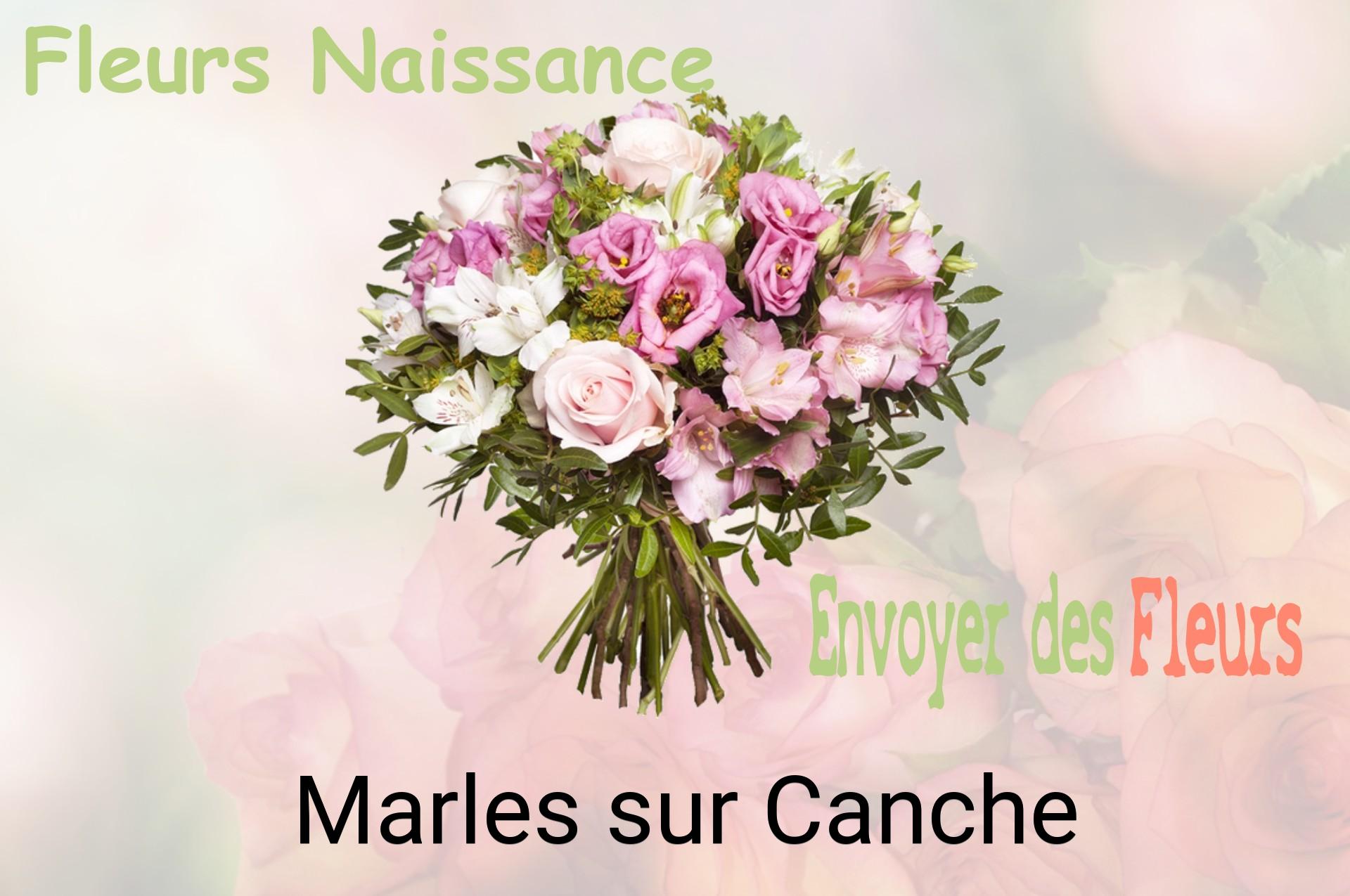 Bouquet de fleurs de naissance livré à Marles-sur-Canche