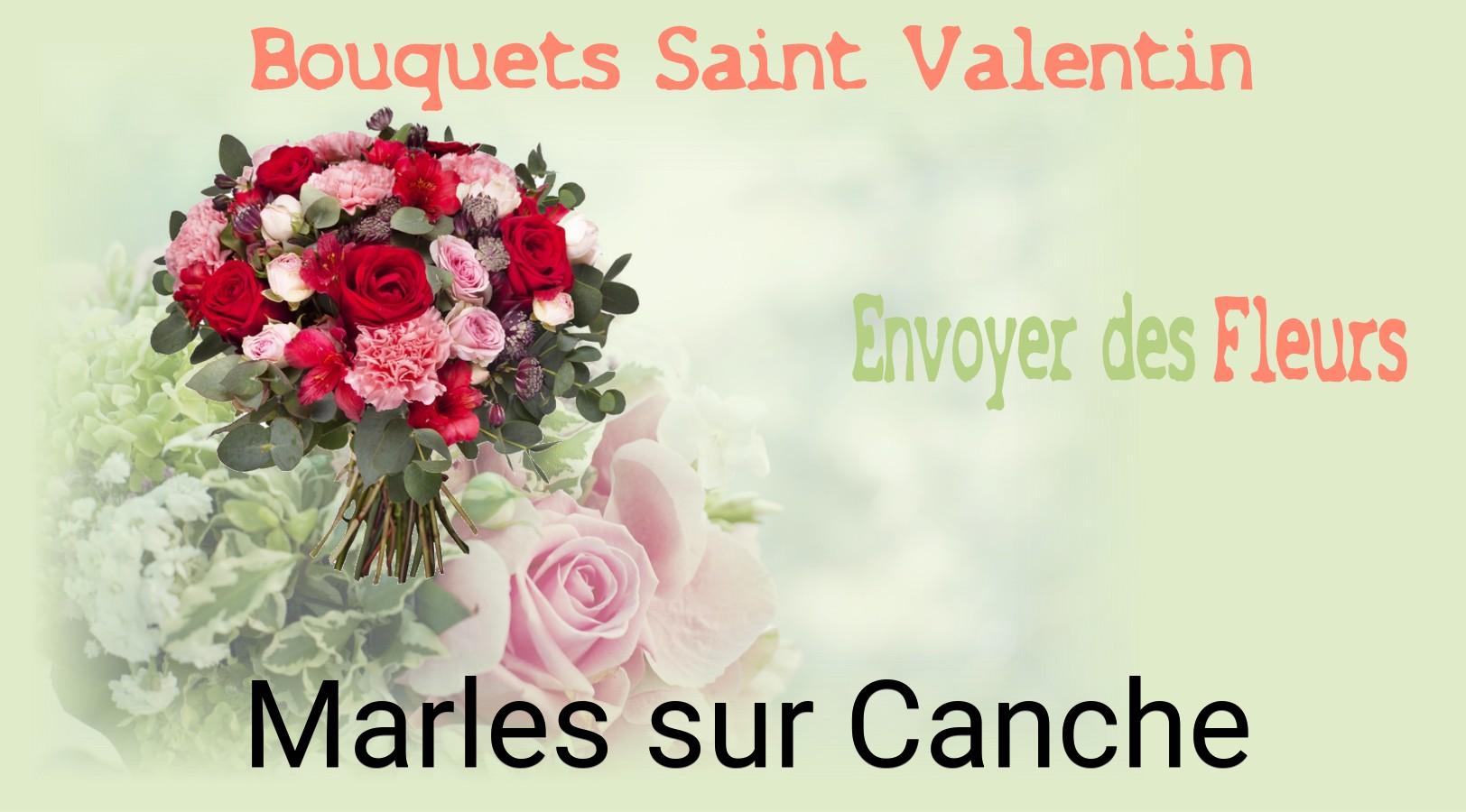 Roses de Saint-Valentin livrées à Marles-sur-Canche