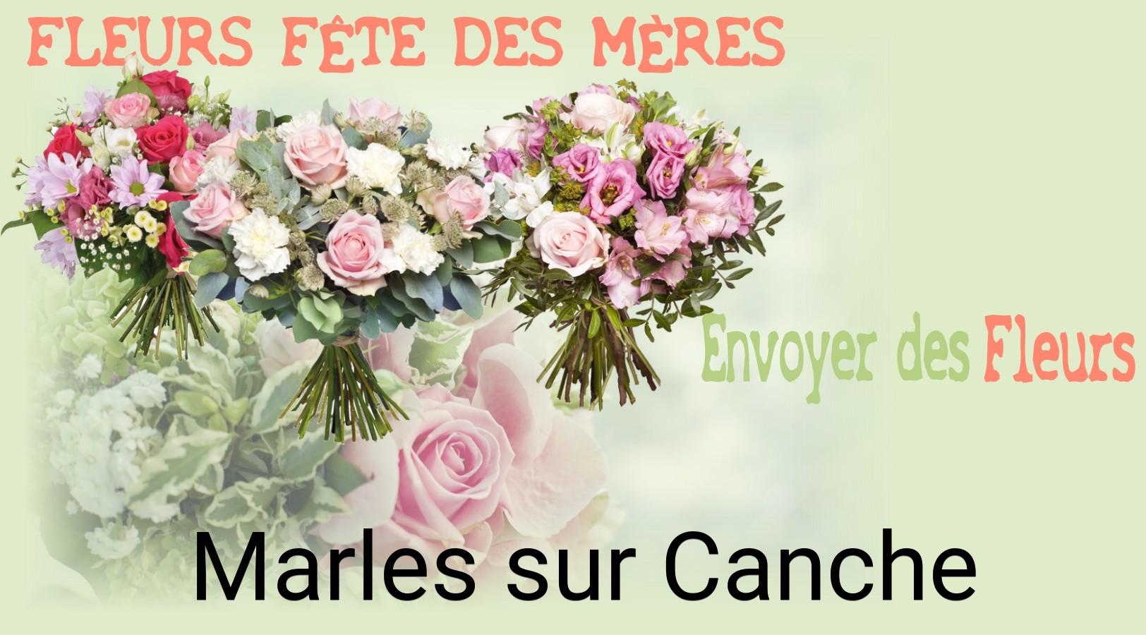 Bouquet de Fête des Mères livré à Marles-sur-Canche